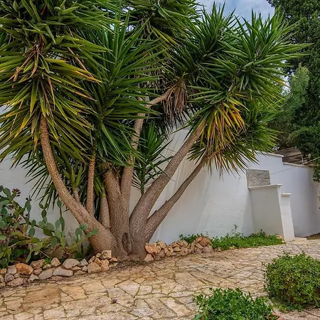 Dolce * Torre Lapillo